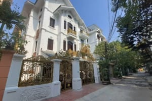 Biệt thự – tuyệt đẹp tại KĐT Đại Kim – Nguyễn Cảnh Dị – 138m2 – 4 tầng – 32 tỷ.